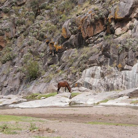 Altos Del Valle San Agustín de Valle Fértil Exteriér fotografie