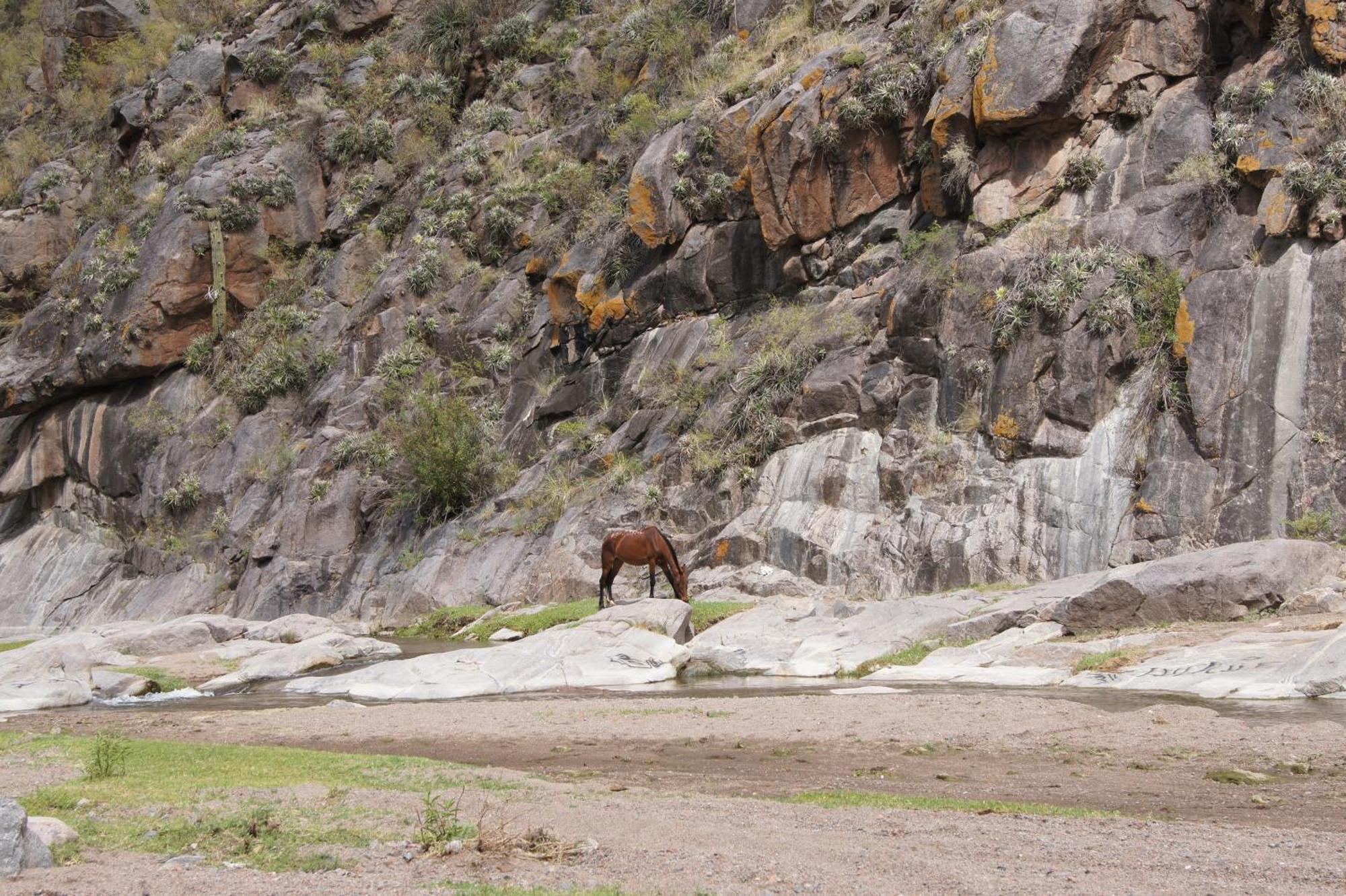 Altos Del Valle San Agustín de Valle Fértil Exteriér fotografie